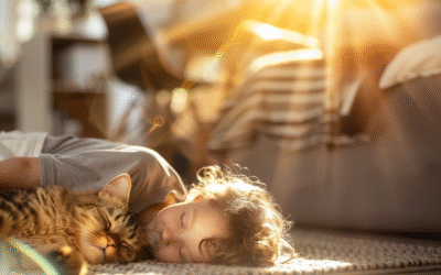 How to Choose Healthy Home Carpet Cleaning Solutions?