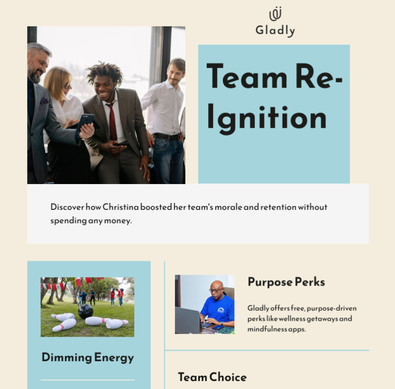 Team Re-Ignition cover